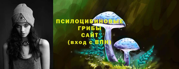 PSILOCYBIN Бугульма