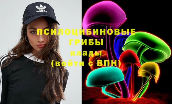 PSILOCYBIN Бугульма
